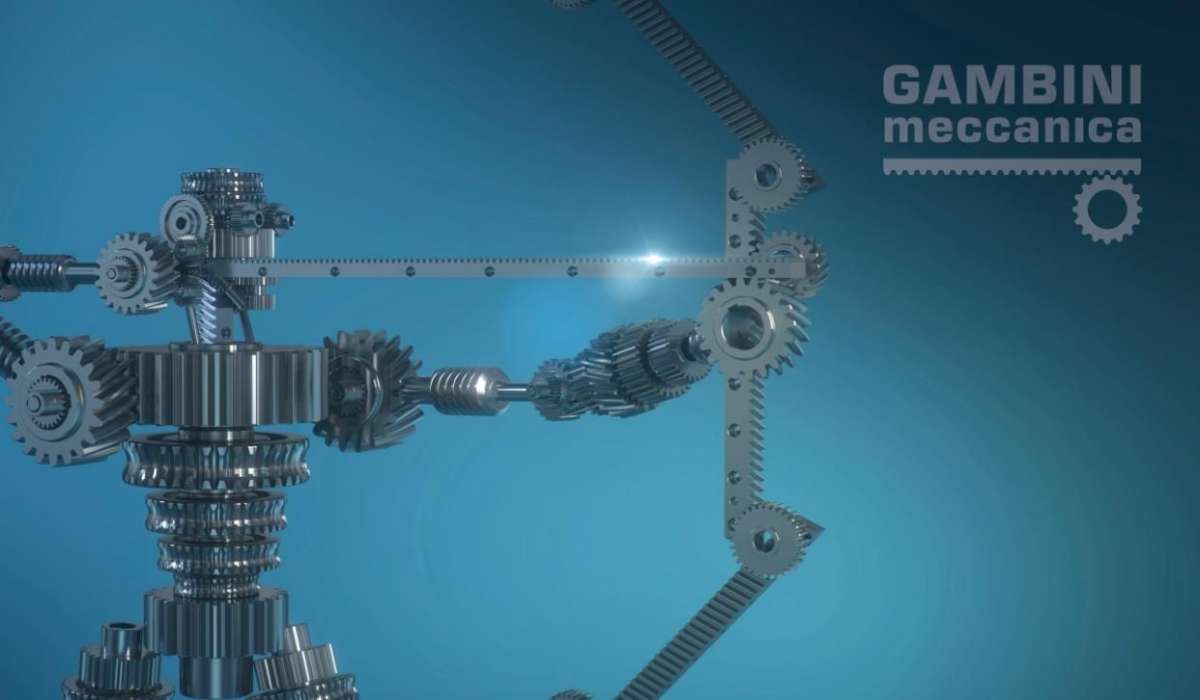 意大利Gambini進口齒輪齒條