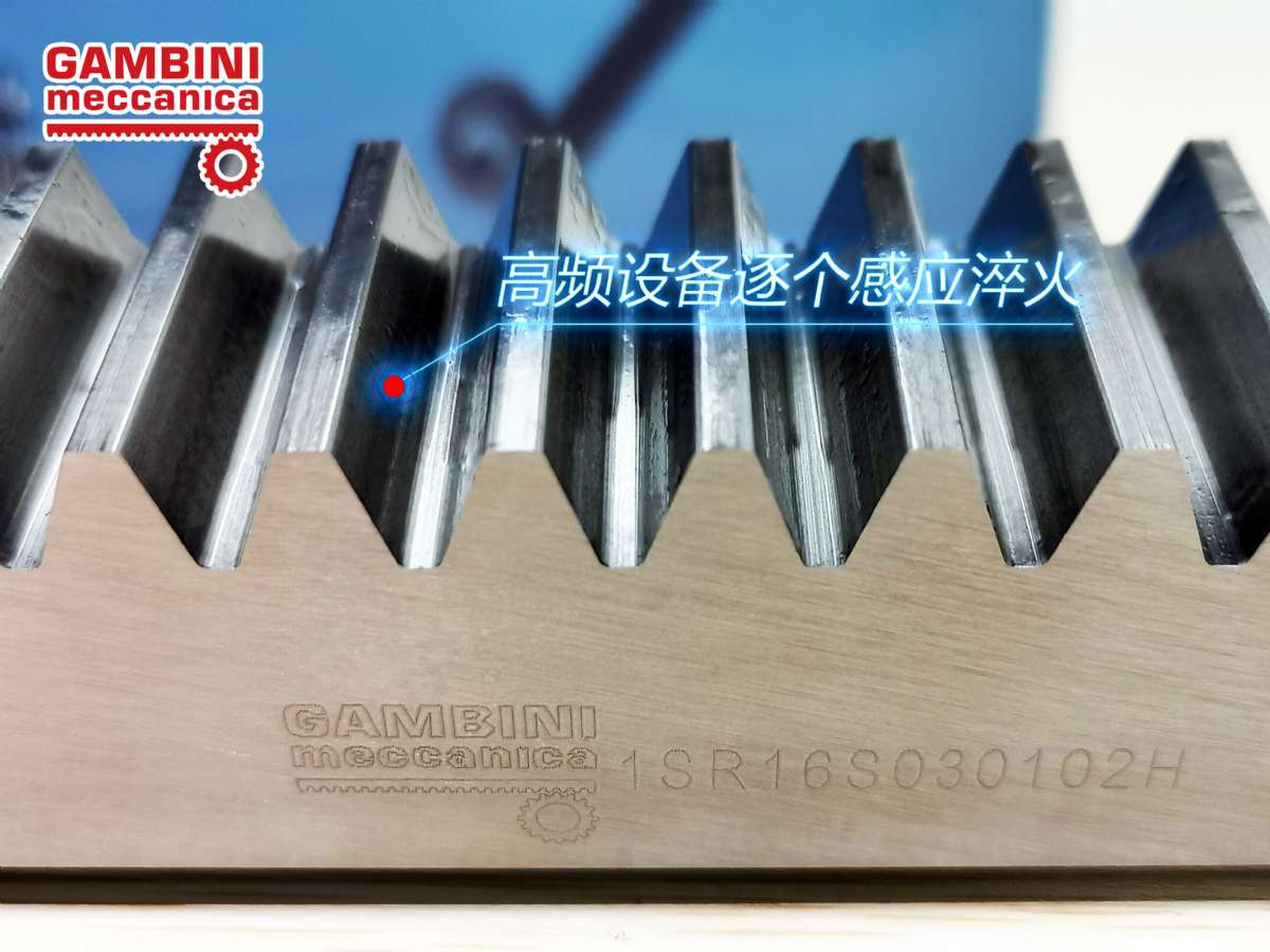 意大利Gambini進口齒輪齒條